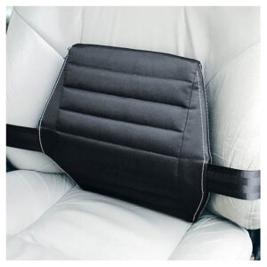 Scanergo Back Support Cushion Comfortex CarRest