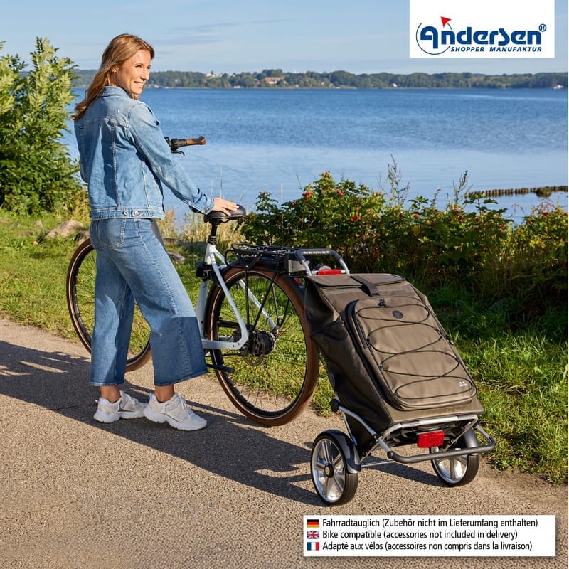 Andersen Shopping Trolley Royal Plus Fado 3.0 – 25 cm ball bearing wheels — front view