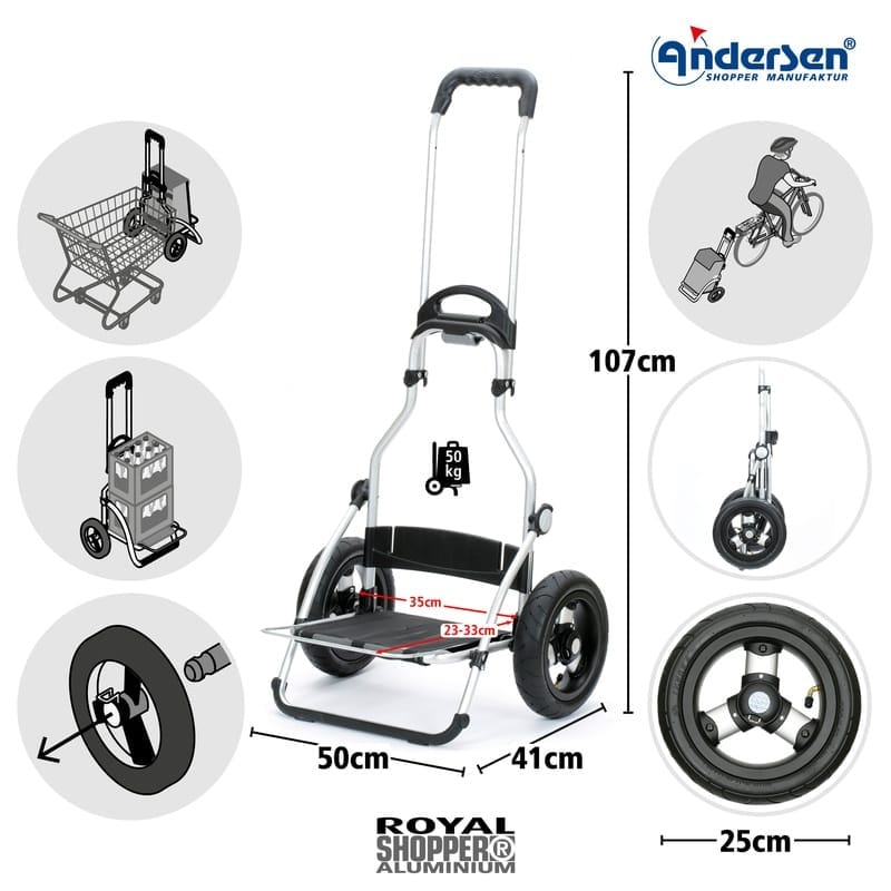 Diagram of the Royal chassis with measurements 107, 50 and 41 cm
