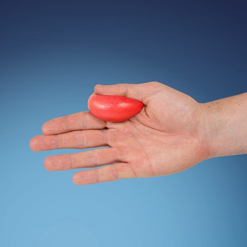 Red putty flattened in an open palm
